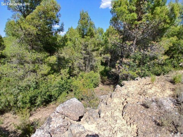 Finca rústica con masico en Mazaleón