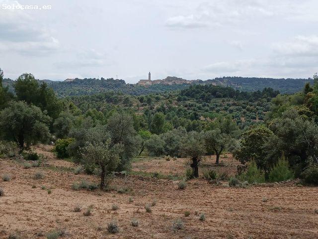 Finca rústica con masia en Fórnoles