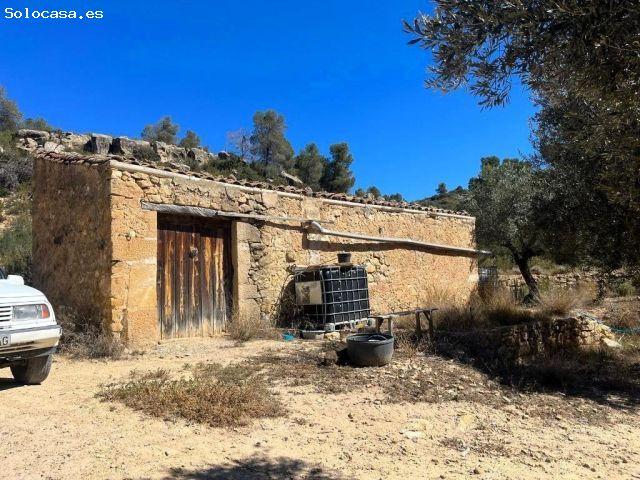 Finca rústica con pequeño maset