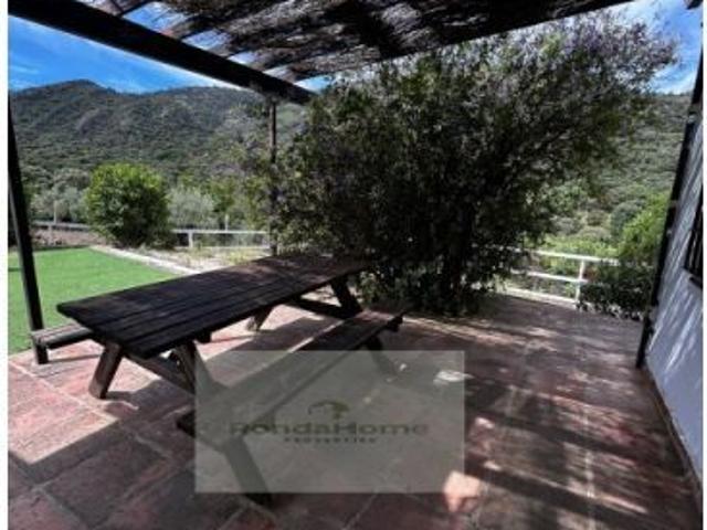 Finca rústica con piscina, olivar y total privacidad a solo 7 minutos de Ronda