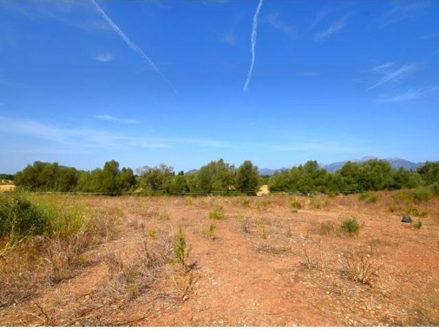 Finca rústica con posibilidad de construir una vivienda en Muro