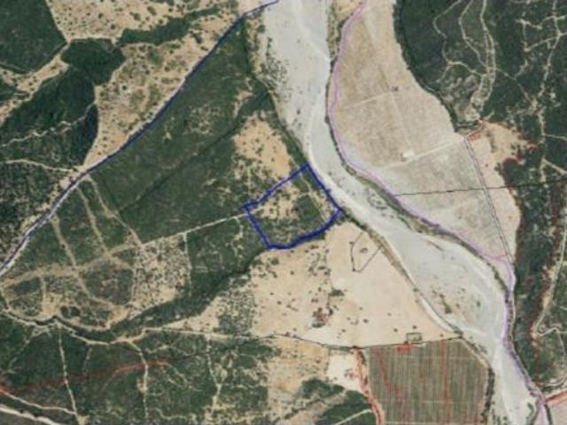 Finca rústica con pozo legal y posibilidad de vivienda unifamiliar – Casares