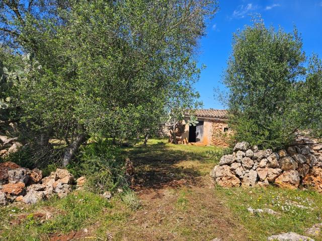 FINCA RÚSTICA COSTITX 14.878,19 M2