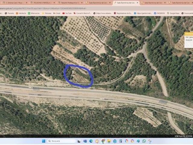 FINCA RUSTICA DE MATORRALES PARA VENDER