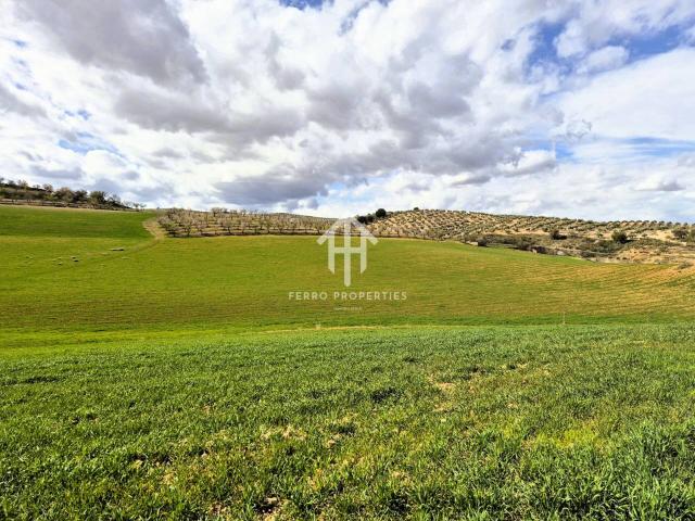 Finca Rústica de Cultivo