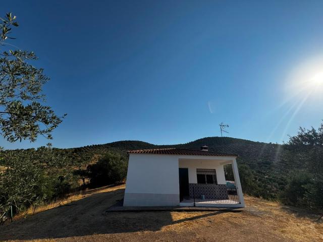FINCA RUSTICA DE CASI 3 HA. CON CASA Y PAC, POZOBLANCO, CORDOBA PROVINCIA