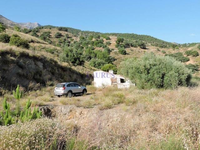 Finca rústica de excepcional belleza a los pies de la montañ. 0m² Sedella