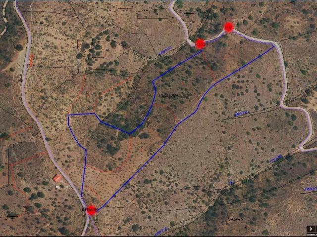 Finca Rústica de Ensueño en Málaga – ¡Tu Oportunidad en la Naturaleza!