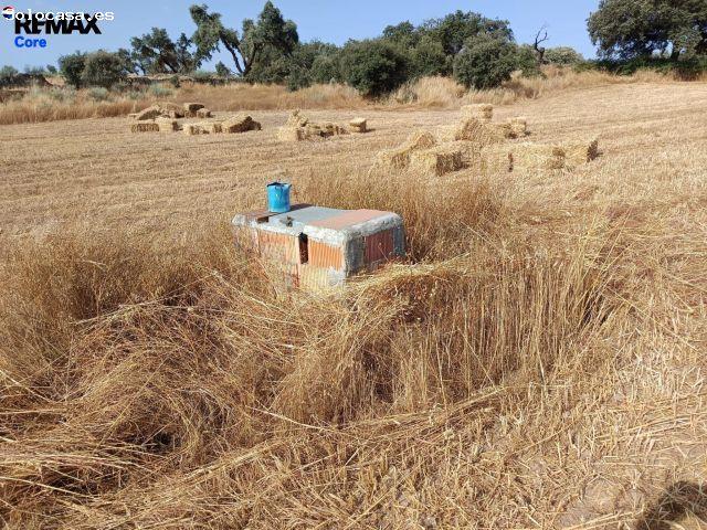 Finca Rústica de Recreo de 20 Hectáreas a 2 km de Alburquerque