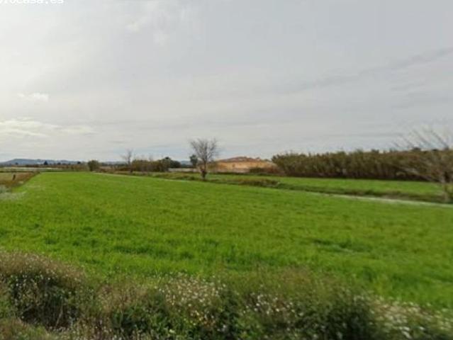 FINCA RUSTICA DE RECREO EN CATRAL ALICANTE
