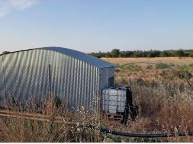 Finca Rústica de Regadío de 6 Hectáreas en Lepe – Excelente Acceso junto a la A 49