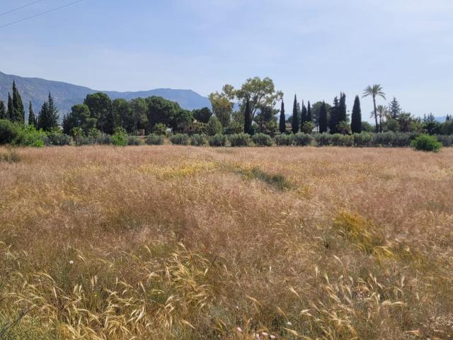 Finca rústica de regadío en Blanca
