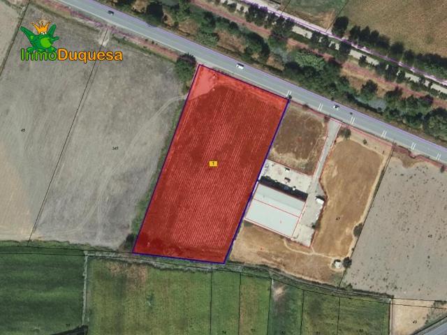 Finca rústica de regadío en la Vega de Granada. Facil acceso a pie de ctra