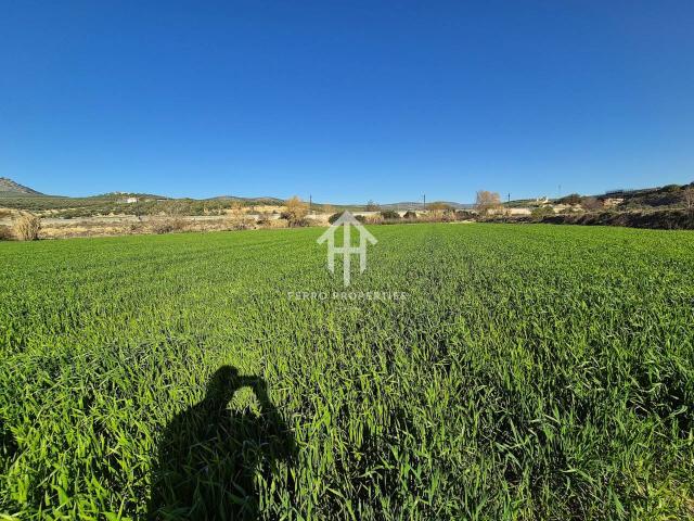 Finca rústica de regadío en venta en Huétor Tájar – 25.954 m² con agua de acequia y acceso directo