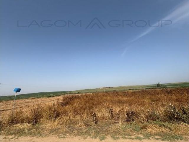 Finca rústica de regadío en venta en Partida del Grama Almacelles