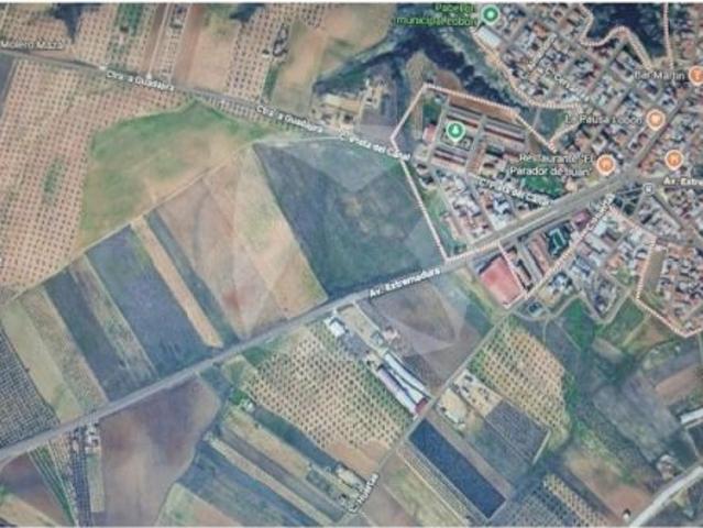 FINCA RUSTICA DE SECANO DE 3,313 HECTAREAS. TERMINO MUNICIPAL DE LOBON