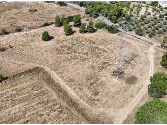 FINCA RUSTICA DE 15.000 M2 A 1 KM DEL PUEBLO