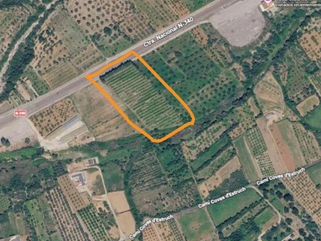 Finca rústica de 12.440 m2 con 490 naranjos Valencia Late en Santa Magdalena de Pulpis