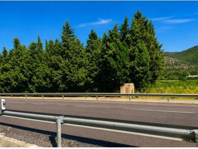 Finca rústica de 12.440 m2 con 490 naranjos Valencia Late en Santa Magdalena de Pulpis