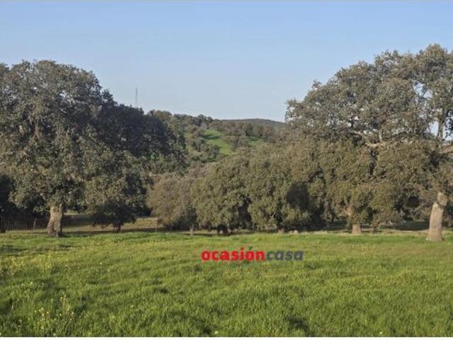 FINCA RÚSTICA DE 22 HA A LA VENTA