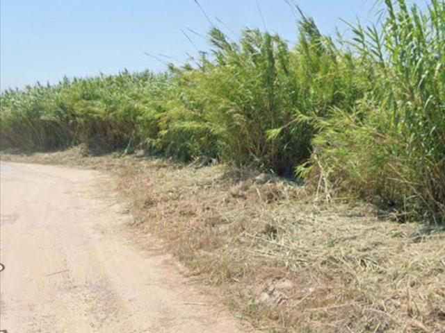 finca rústica de 2.070 m², ubicada a 300mts del mar en la localidad de Cullera, provincia de Valencia