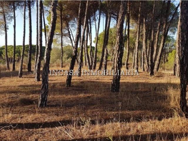 Finca Rustica de 2ª mano en venta