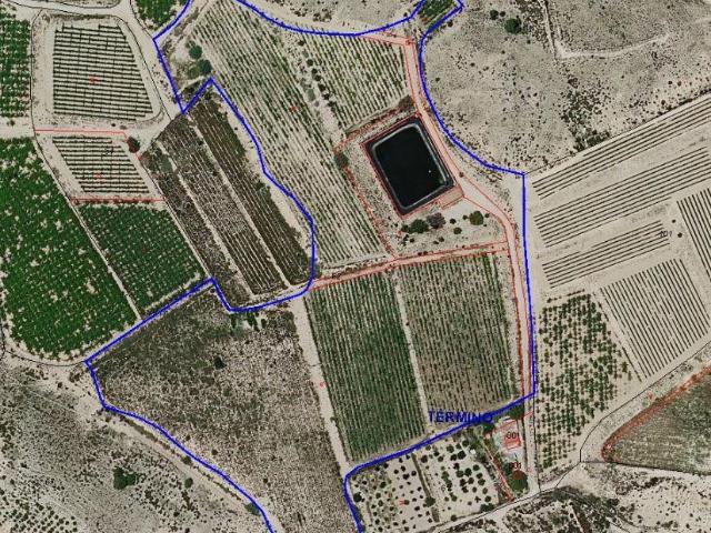 FINCA CON NAVE Y BALSA IDEAL PARA PLANTACIONES