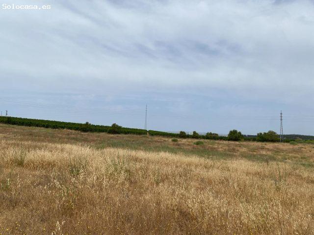Finca rústica de 5 hectáreas a solo 5 minutos de Ayamonte
