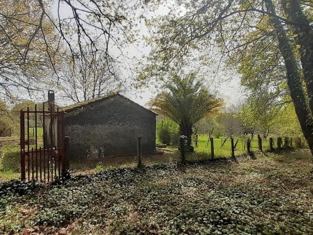 FINCA RÚSTICA DE 6.000 M2 CON GALPÓN Y POZO EN COLES OURENSE