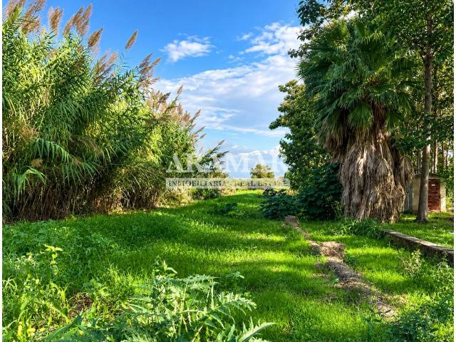 Finca rústica de 6.863 m² con plantación de paulonias