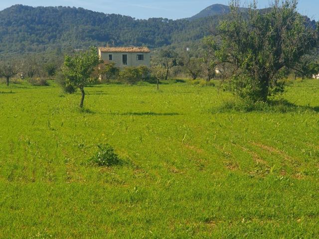 FINCA RÚSTICA EDIFICABLE EN BINISSALEM DE 27.490M2 CON EDIFICACIÓN DE 150M2