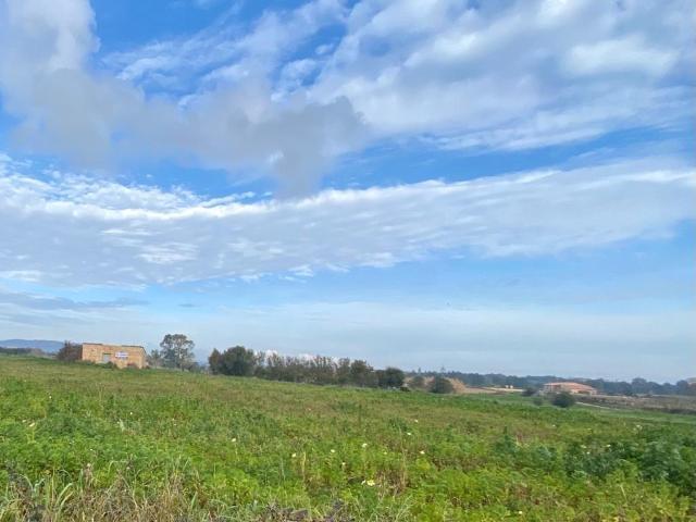 Finca rústica edificable en Manacor
