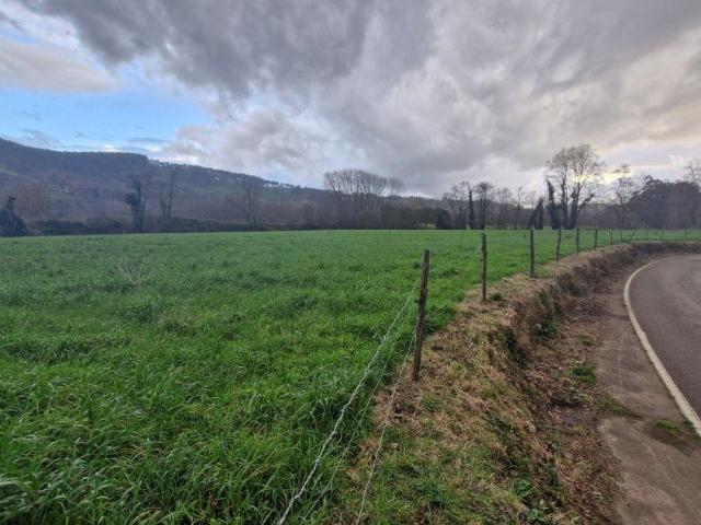 Finca rústica en Oruña de Piélagos
