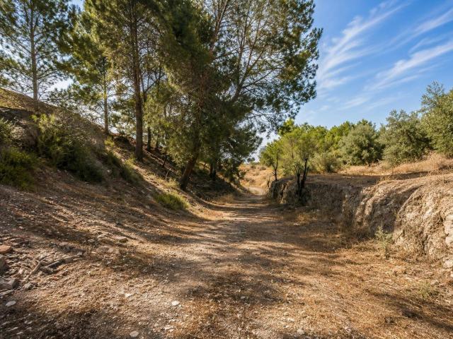 ¡Finca rústica en Atarfe en un entorno privilegiado!