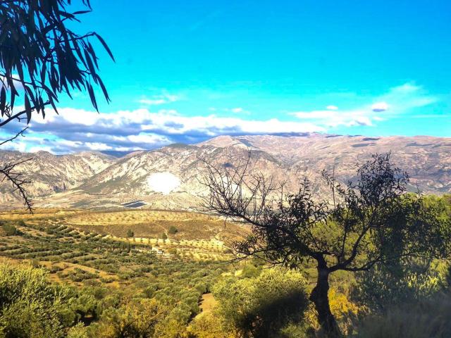 Finca Rústica en Albuñuelas, Granada