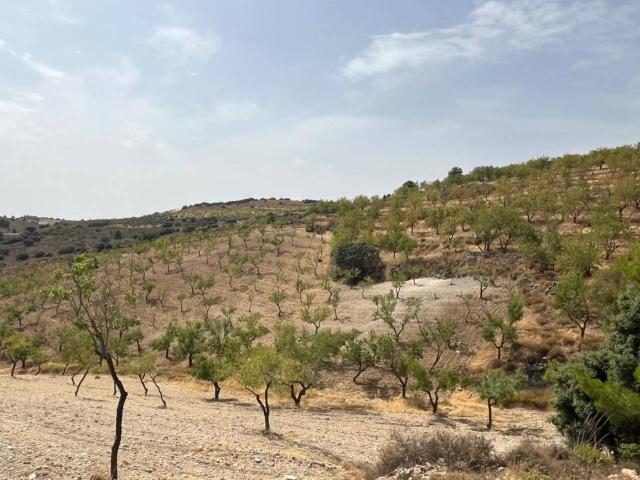 FINCA RUSTICA EN ALBUÑUELAS