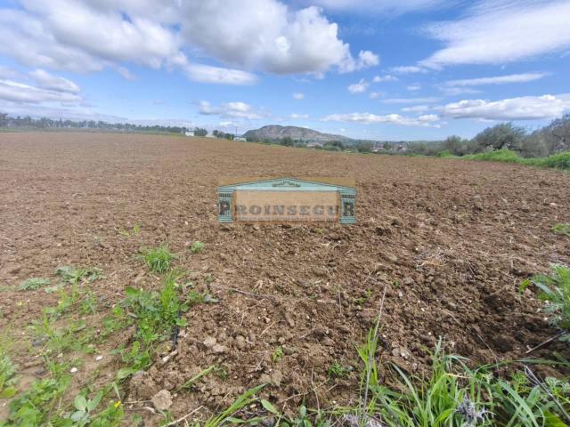 FINCA RUSTICA EN ALHAURIN EL GRANDE