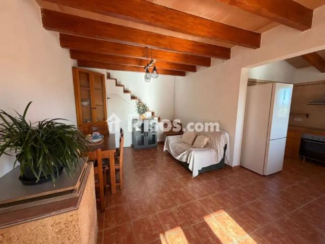 Finca rústica en alquiler en Muro