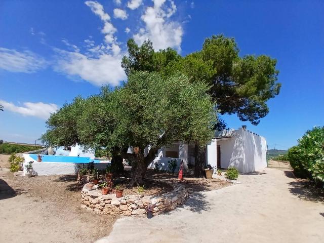 Finca rústica en Alquiler en Alcanar