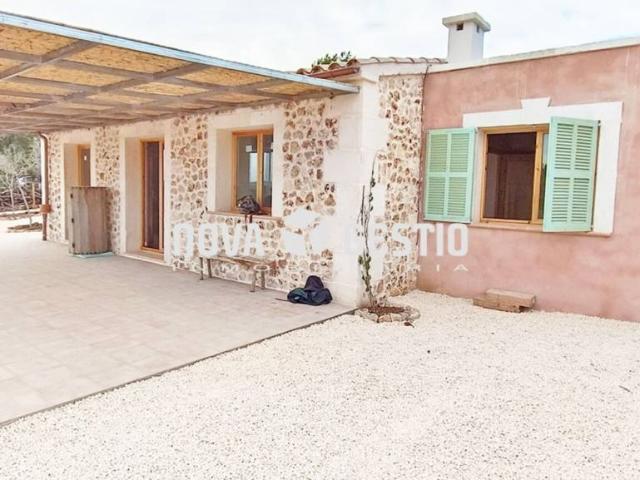 Finca rustica en alquiler y venta en manacor