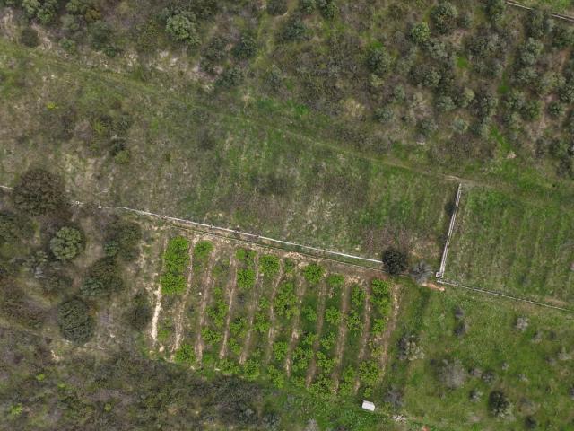 FINCA RÚSTICA EN BARXETA – NATURALEZA, PRIVACIDAD Y POTENCIAL