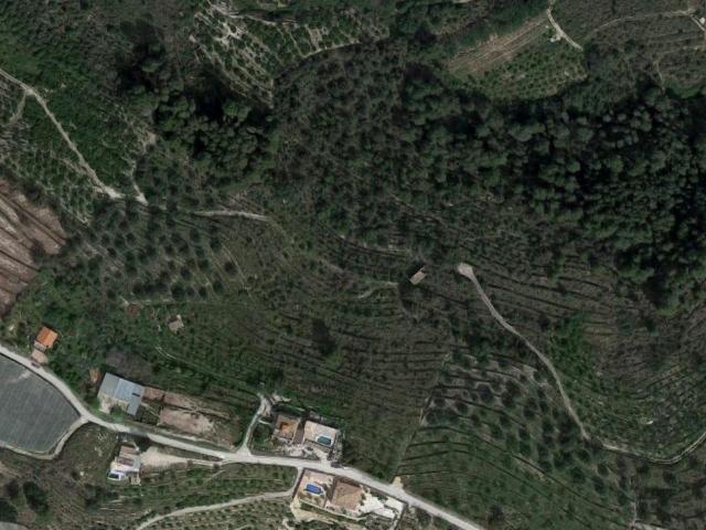 FINCA RÚSTICA EN BOLULLA