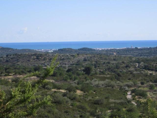 FINCA RUSTICA EN CERVERA