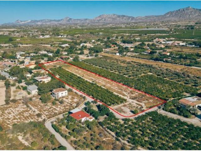 Finca Rústica en Crevillent