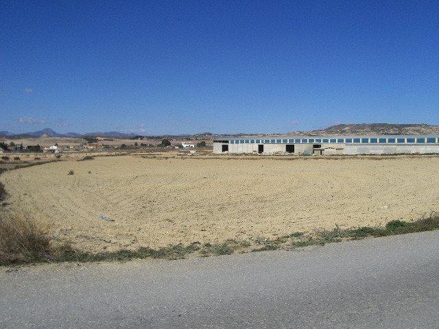 FINCA RÚSTICA EN DIPUTACIÓN DE RÍO