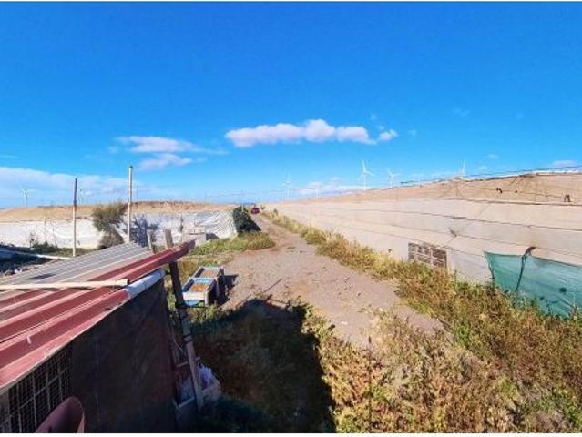 FINCA RÚSTICA EN EXPLOTACIÓN — JUAN GRANDE SAN BARTOLOMÉ DE TIRAJANA