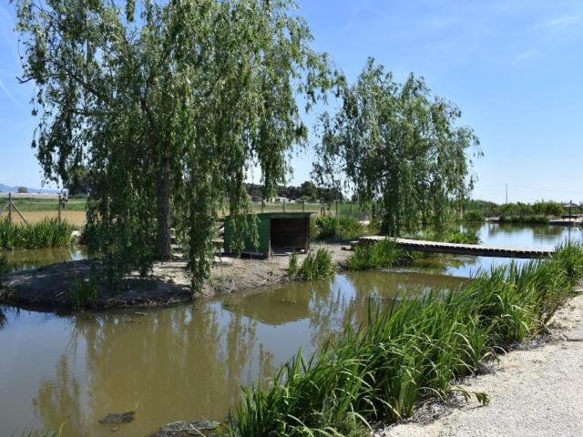 Finca rustica en el Parque natural del Delta del Ebro!