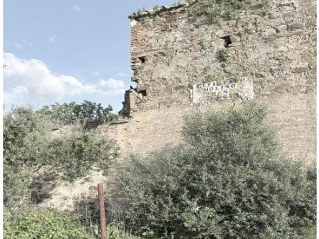 FINCA RUSTICA EN EL PINTADO GIBRALEÓN HUELVA