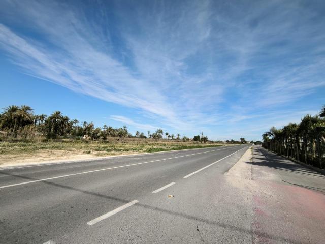Finca Rústica en Elche, Daimés