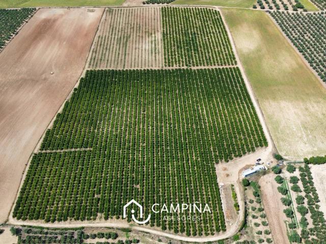 Finca rústica en Gibraleón